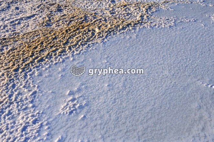 Formations de sel (Lac Assal, Djibouti) - gryphea.com